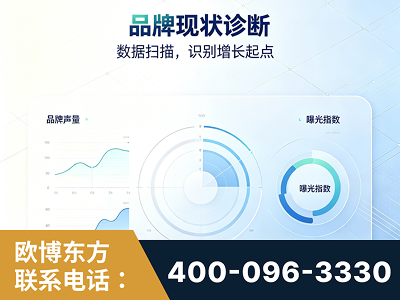 宜城-品牌现状诊断
