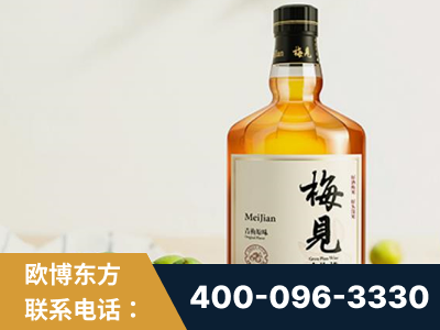 宜城-梅见青梅酒
